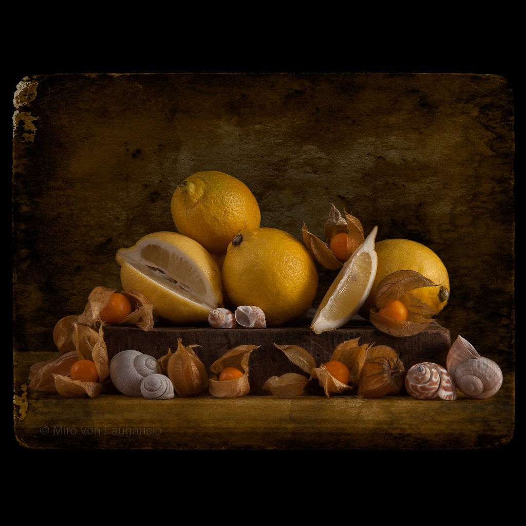 STiLL-LiFE